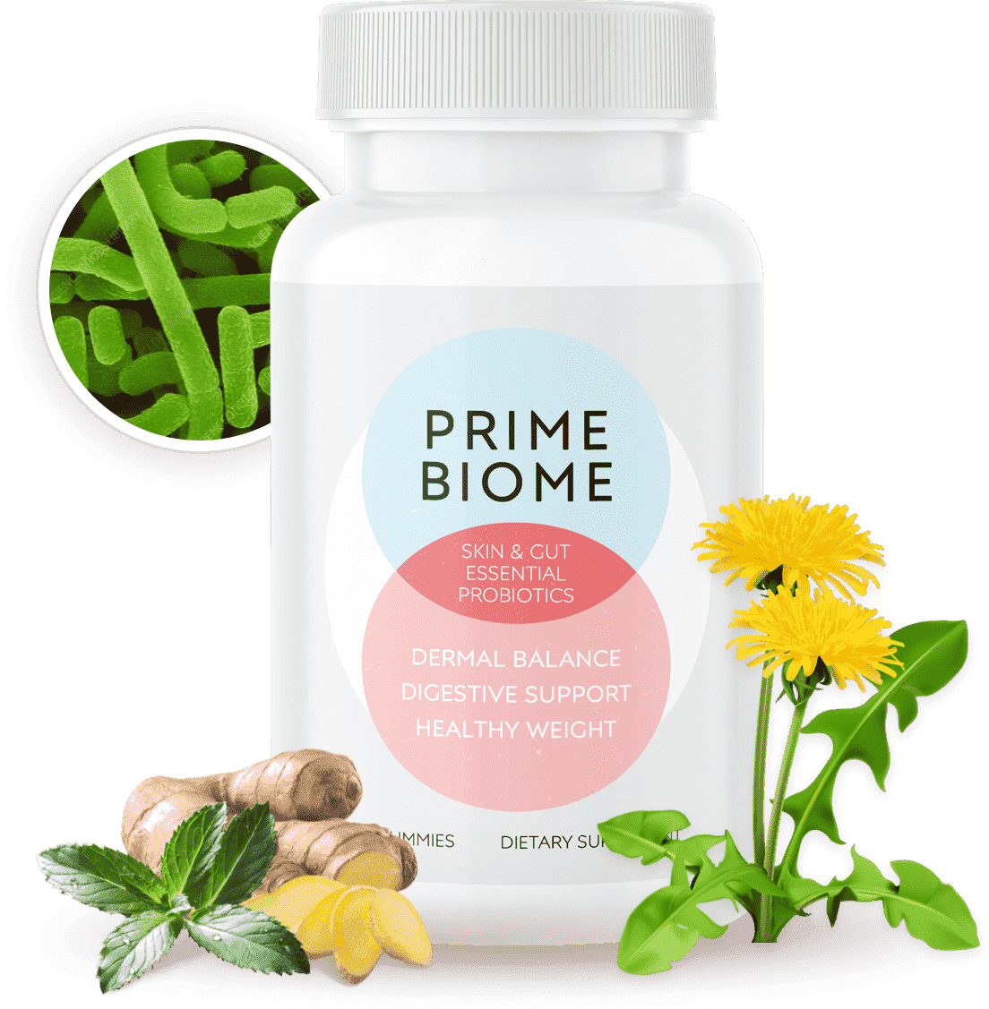 PrimeBiome skin & gut support